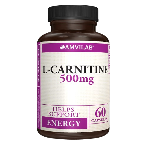 l carnitine als L-Carnitine